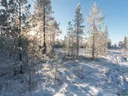 cold