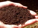 Soil