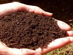 Soil
