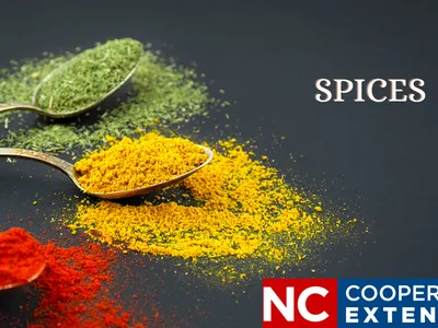 red, yellow and green powdered spices