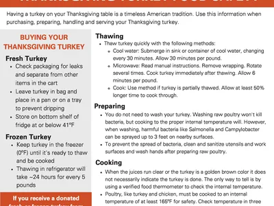 Safeplates THANKSGIVING TURKEY FOOD SAFETY informational flyer