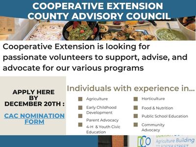 flyer for advisory board