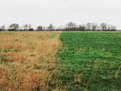 difference in pastures