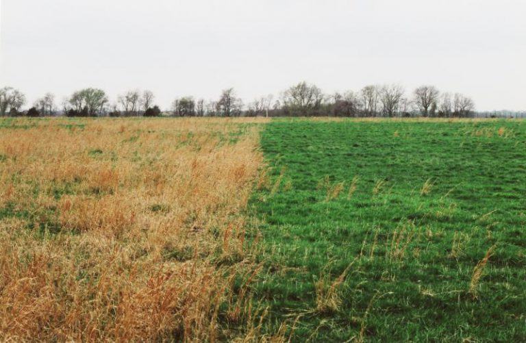 difference in pastures