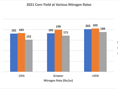 Bar graph of corn yield at three nitrogen rates and there locations