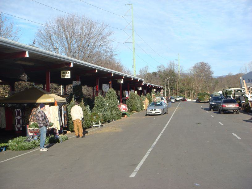 WNC Farmers Market Trees