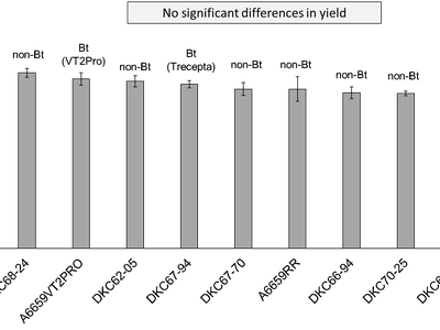 Bar chart of similar-height bars with caption "No significant differences in yield"