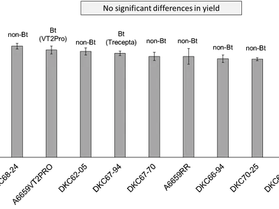 Bar chart of similar-height bars with caption "No significant differences in yield"