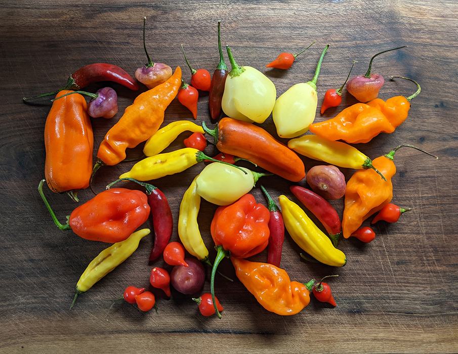 Assorted colorful chili peppers arranged on a wooden cutting board