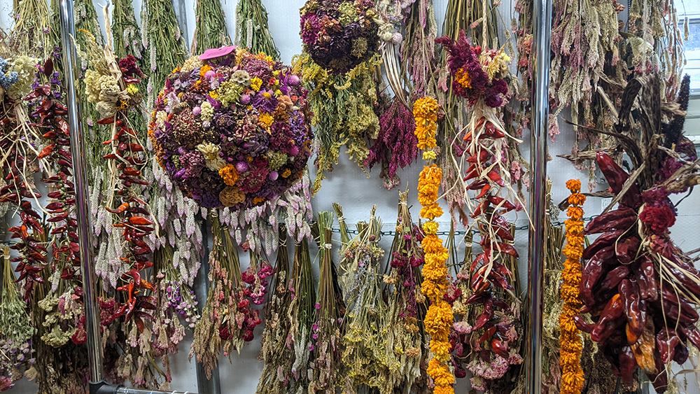 Bundles and garlands of dried flowers and red chili peppers hanging on metal racks