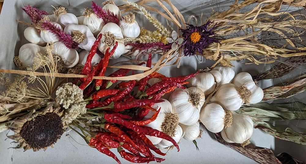 Braided garlic bulbs with dried red chilies and assorted dried flowers