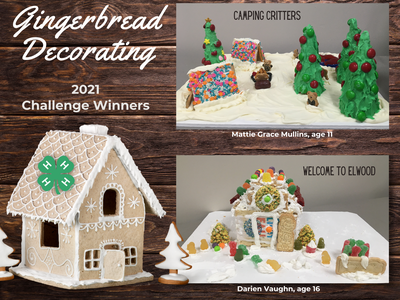2021 Gingerbread Challenge Winners