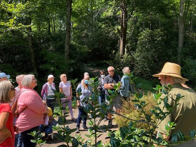 A class of gardeners observing a woodland garden