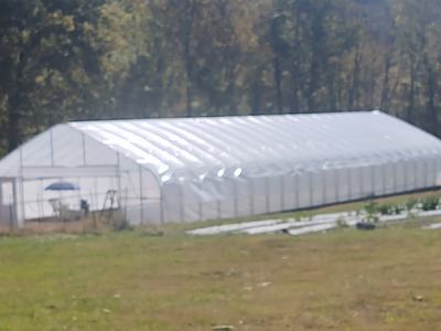 Johnson Family Farm on Honeycutt Creek High Tunnel