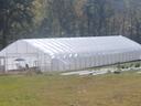 Johnson Family Farm on Honeycutt Creek High Tunnel