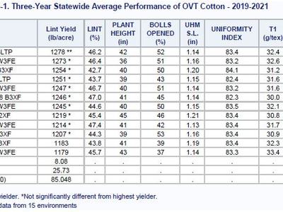 Table of three-year statewide OVT cotton performance (2019–2021): yields and fiber metrics