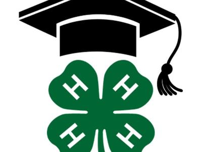 4-H scholarship