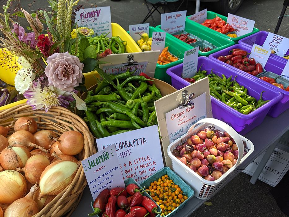 Farmers market table with baskets and bins of assorted peppers, onions, and flowers