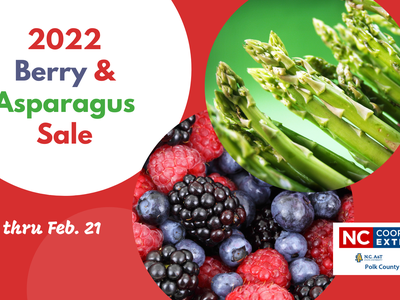 2022 Berry and Asparagus Plant Sale
