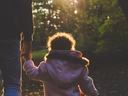 Adult and child holding hands walking in a sunlit wooded area
