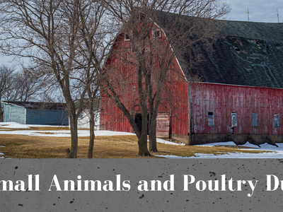 Red barn in snowy winter landscape with overlay text "Caring for Small Animals and Poultry During Winter"