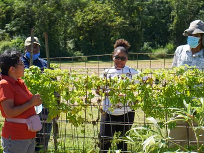 CEFS Small Farm Unit Tour
