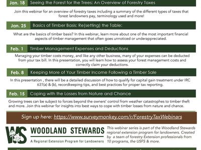 Forestry taxes webinar flyer