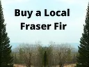 Two tall Fraser firs framing a field and hills with text "Buy a Local Fraser Fir"