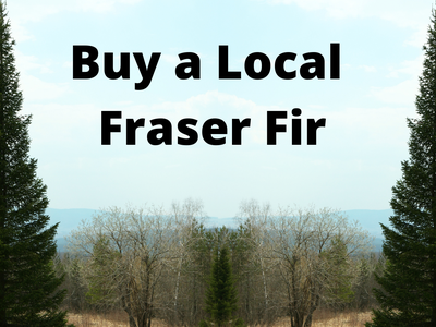 Two tall Fraser firs framing a field and hills with text "Buy a Local Fraser Fir"