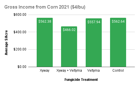 Gross income chart