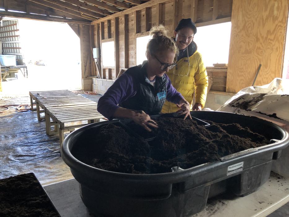 Person filling seed trays with potting soil from a large black tub inside a barn