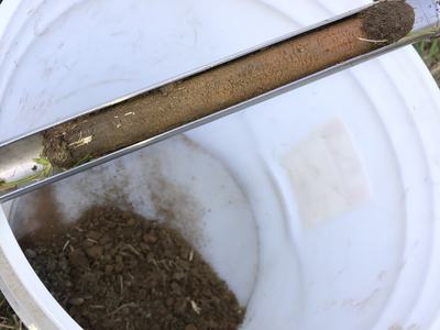 Soil core inside a metal sampling tube held above a white bucket containing loose soil