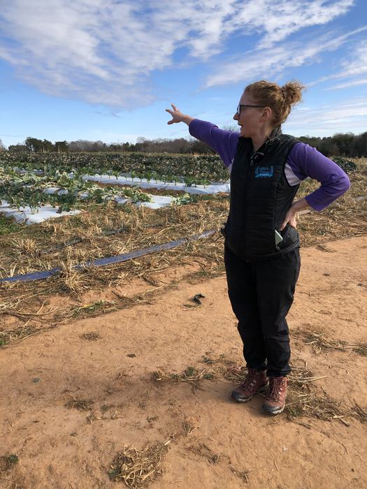 Person on dirt path pointing toward rows of plastic-covered vegetable crops