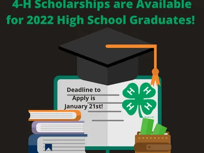 Flyer for 4-H Scholarships