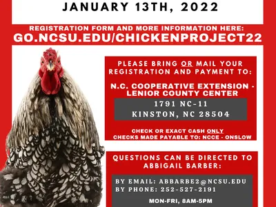 Coastal Plains Chicken Project flyer; registration due January 13, 2022; go.ncsu.edu/chickenproject22