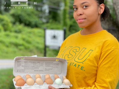 Woman holding carton of eggs