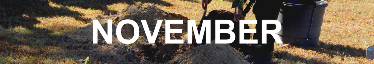 November 2021 - We Grow