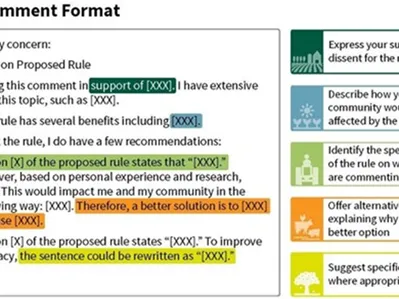 Sample comment format