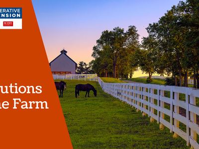 Resolutions for the Farm