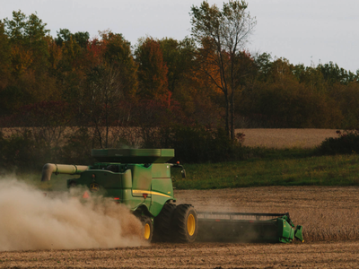 Soybean Harvest