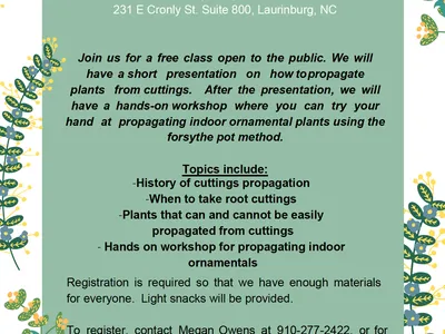Starting Plants from Cuttings flyer