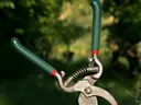 Pruner