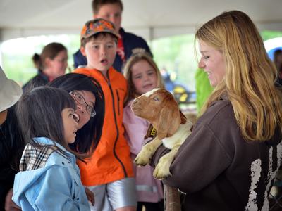 Dairy goat held by woman at CALS farm day