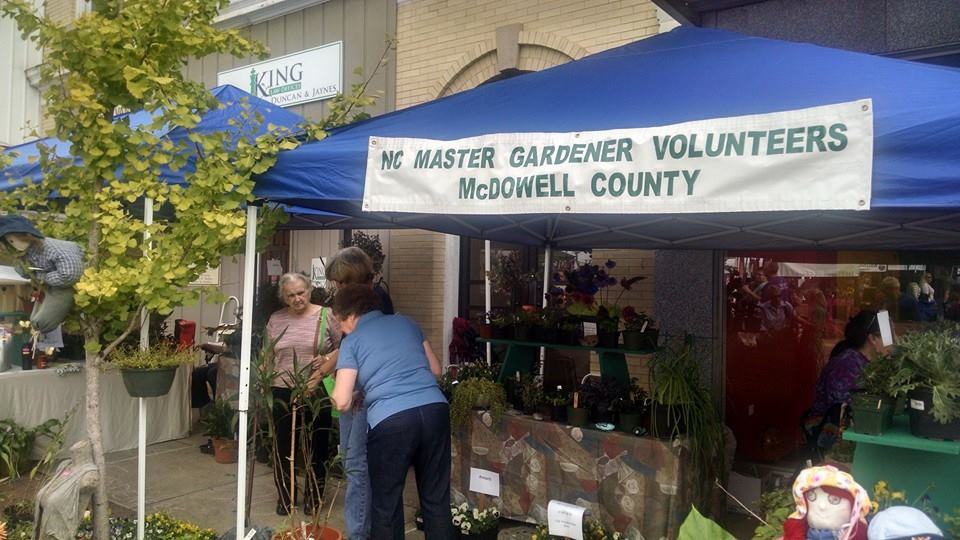 Master Gardeners selling plants