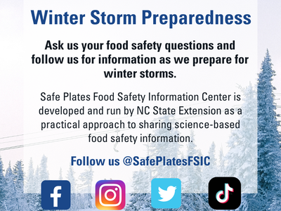 Safe Plates contact information over outdoor winter scene.