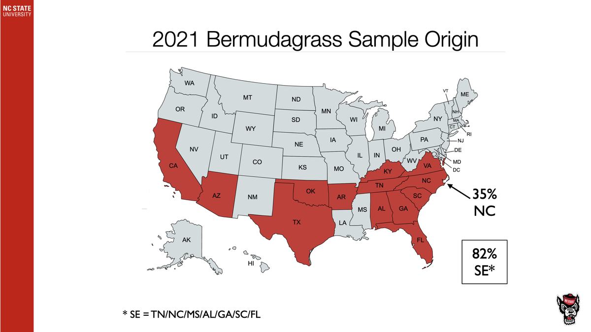 2021 bermudagrass sample origin