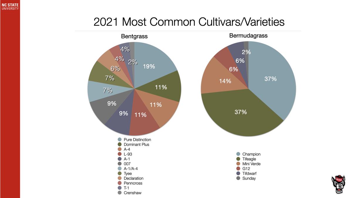 2021 Most Common Cultivars/Varieties: pie charts showing Bentgrass and Bermudagrass percentages