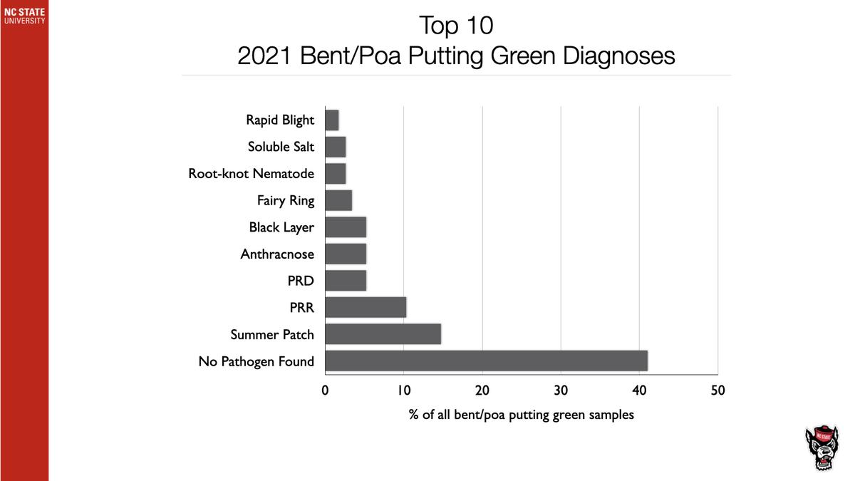 Top 10 2021 Bent/Poa putting green diagnoses bar chart, No Pathogen Found ~42%