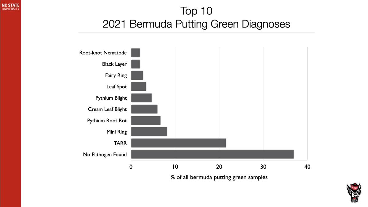 Bar chart titled "Top 10 2021 Bermuda Putting Green Diagnoses" listing No Pathogen Found, TARR, Mini Ring, Pythium Root Rot, Cream Leaf Blight, Pythium Blight, Leaf Spot, Fairy Ring, Black Layer, Root-knot Nematode.