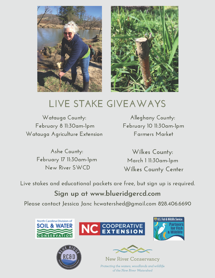 live stake giveaway flyer